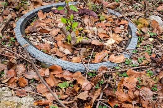 The concept of environmental pollution by human life products. a bicycle tire thrown into the woods