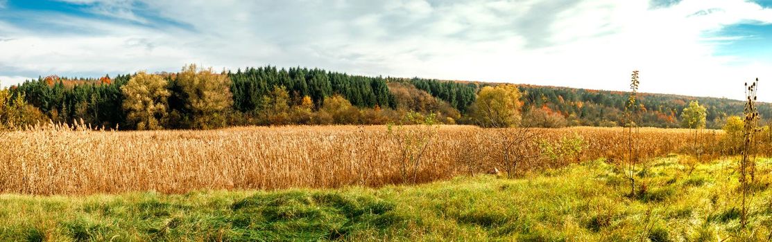 autumn landscape, Lipnik (Teketo) park, Samundzhi village area, Ruse district, Bulgaria