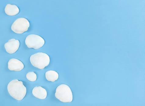 White seashells on a blue background with copy space.