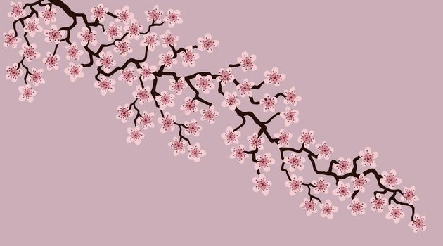 Floral greeting card with beautiful pink blossom flowers branch Sakura.Rosy brown colors Background with copy space text on Cherry Twig In Bloom.Postcard good for wedding invitation, Mother, Women day