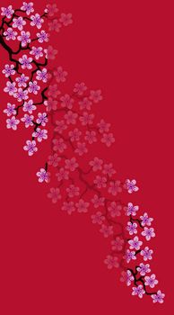 Vertical Floral greeting card with beautiful pink blossom flowers branch Sakura.Red colors Background with copy space text on Cherry Twig In Bloom.Postcard good for wedding invitation,Mother,Women day