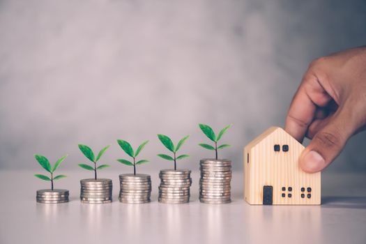 Stack of coin and tree with saving money for real estate and success, finance and investment with leaf, insurance home, deposit and property, residential and financial, business concept.