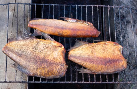 Three smoked fish in a makeshift smokehouse.