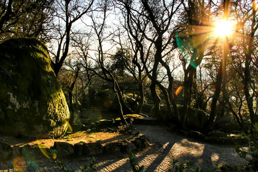 Beautiful leafy forest with colossal rock formations and majestic trees with soft sun rays in the Sanctuary of Penha in Guimaraes, Portugal