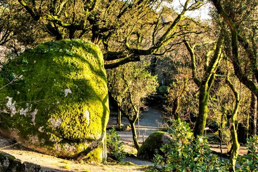 Beautiful leafy forest with colossal rock formations and majestic trees with soft sun rays in the Sanctuary of Penha in Guimaraes, Portugal