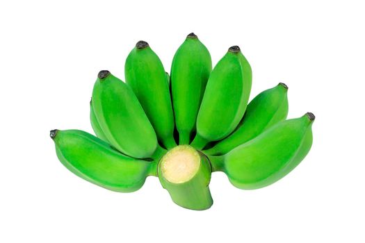 Group of green color raw bananas  isolated on white background.