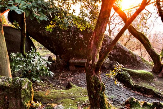 Beautiful leafy forest with colossal rock formations and majestic trees with soft sun rays in the Sanctuary of Penha in Guimaraes, Portugal