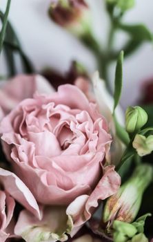 Botanical concept, wedding invitation card - Soft focus, abstract floral background, pink rose flower. Macro flowers backdrop for holiday brand design