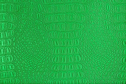 Green crocodile leather texture. Abstract background for design.