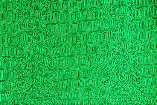 Green crocodile leather texture. Abstract background for design.