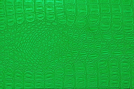 Green crocodile leather texture. Abstract background for design.