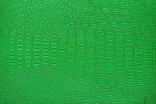 Green crocodile leather texture. Abstract background for design.