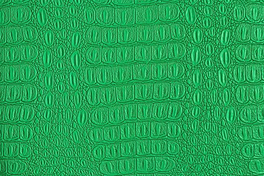 Green crocodile leather texture. Abstract background for design.