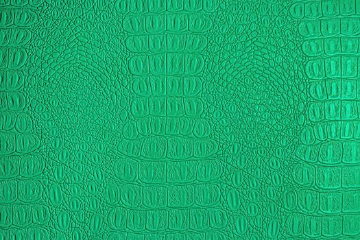 Green crocodile leather texture. Abstract background for design.
