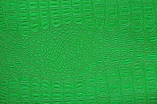 Green crocodile leather texture. Abstract background for design.