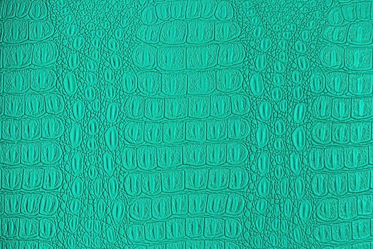 Green crocodile leather texture. Abstract background for design.