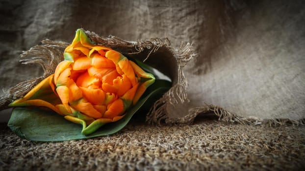 Beautiful orange tulip with a linen napkin