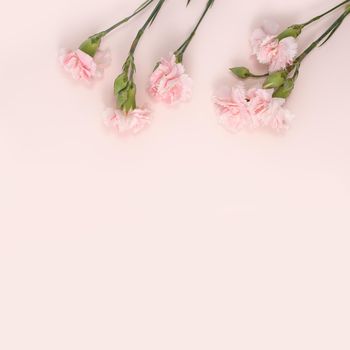 Design concept of Mother's day holiday greeting design with carnation bouquet on pastel pink table background