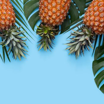 Top view of fresh pineapple with tropical palm and monstera leaves on blue table background.