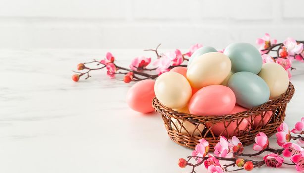 Close up of colorful Easter eggs in the basket with pink plum flower on bright white wooden table background.