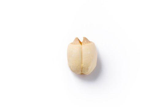 Close up of dried lotus seed Chinese herbal healthy food isolated on white table background