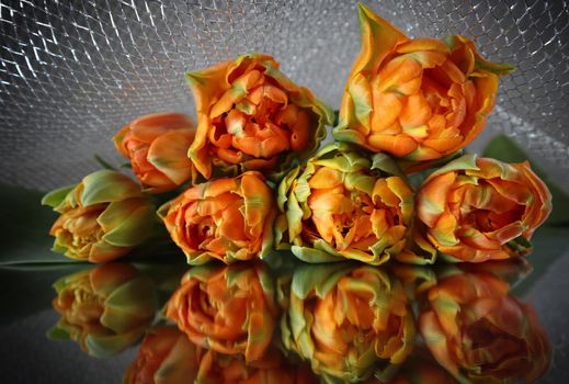 Beautiful orange tulips on the mirror. Perfect for background greeting card
