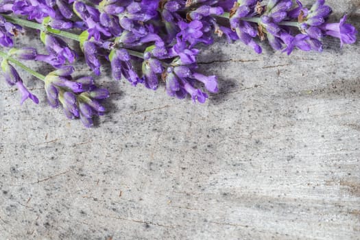Lavender flowers on a gray rustic background of an old stump