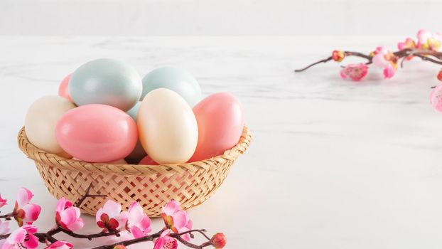Close up of colorful Easter eggs in the basket with pink plum flower on bright white wooden table background.