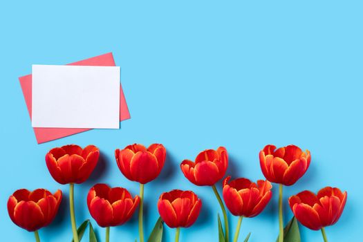 Design concept of Mother's day holiday greeting gift design with red tulip bouquet and card on bright blue table background