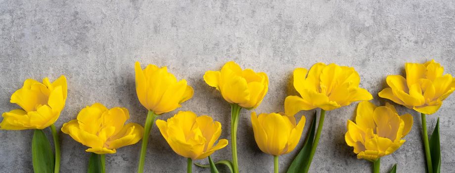 Concept of Mother's day holiday greeting design with yellow tulip flower bouquet on gray background
