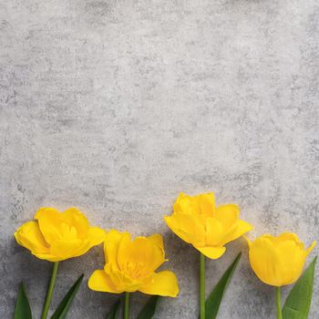 Concept of Mother's day holiday greeting design with yellow tulip flower bouquet on gray background