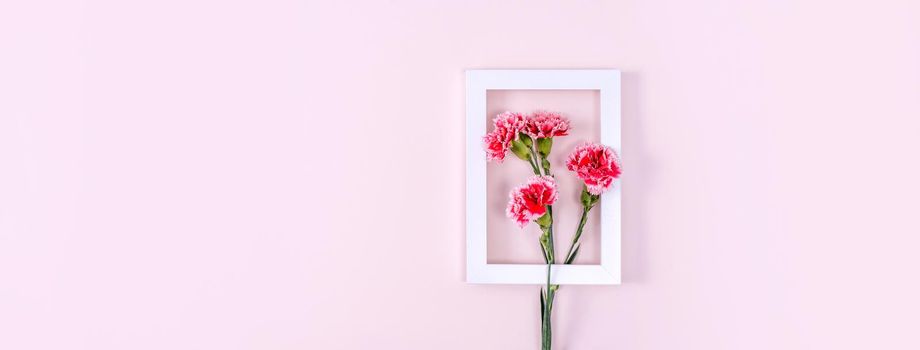 Concept of Mother's day holiday greeting background design  with carnations bouquet on pink background