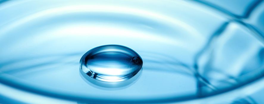 Clean glass petri dish with liquid drop inside over blue light background, concept of science lab test and vaccine development.