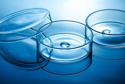 Clean glass petri dish with liquid drop inside over blue light background, concept of science lab test and vaccine development.