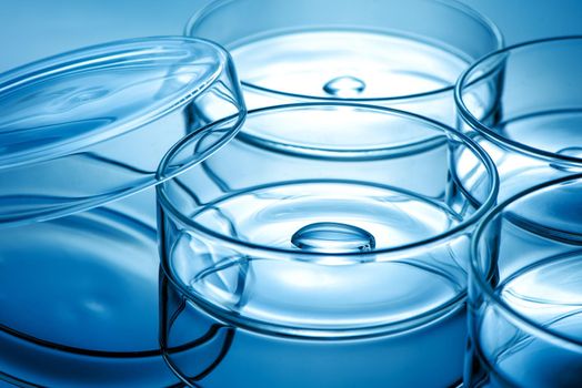 Clean glass petri dish with liquid drop inside over blue light background, concept of science lab test and vaccine development.
