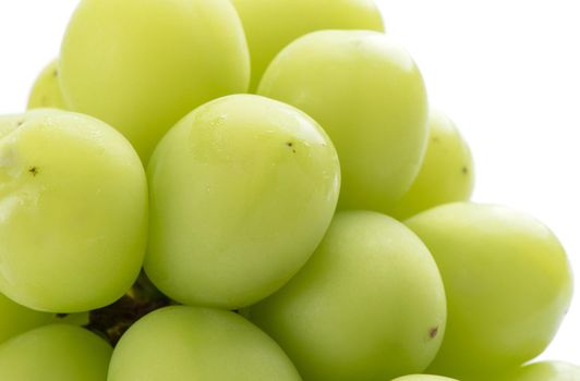 Close up of beautiful a bunch of Shine Muscat green grape isolated on white background, clipping path cut out.