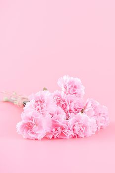 Mother's Day holiday gift design concept, pink carnation flower bouquet with greeting card, isolated on light pink background, copy space.