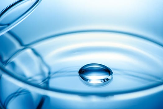 Clean glass petri dish with liquid drop inside over blue light background, concept of science lab test and vaccine development.