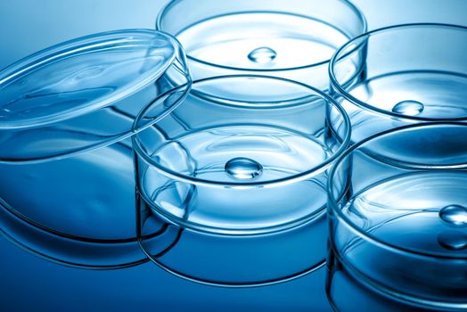 Clean glass petri dish with liquid drop inside over blue light background, concept of science lab test and vaccine development.