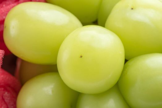 Close up of beautiful boxed Shrine Muscat green grape isolated on white background, clipping path cut out.