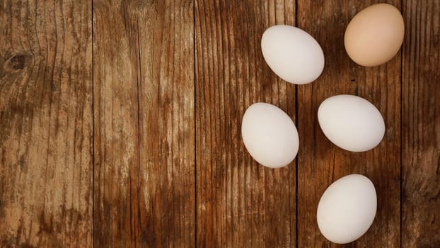 Close up of fresh chicken eggs on nature wooden table with copy space. White eggs and one brown