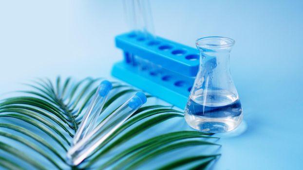 Test tubes and a chemical flask on a blue background. Tropical leaf. Tropical disease research concept