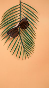 Sunglasses sale concept. Sunglasses on orange background with tropical leaves. Trendy Fashion summer accessories. Top view, vertical