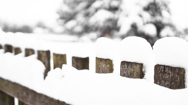 Wooden fence gate covered in white snow at heavy snowing snowstorm, bushes in background. Snow on a wooden fence as background image.