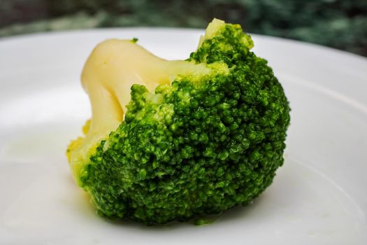 Fresh broccoli close up on a plate with copy space