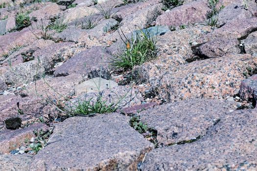 Large stones and moss between them, background and texture
