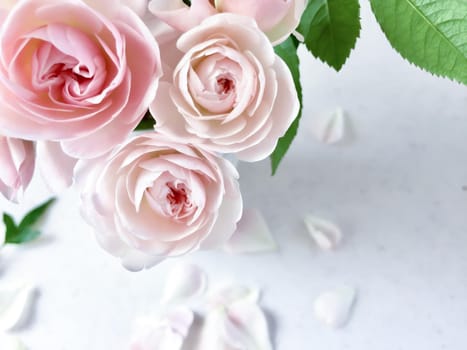 Bouquet of beautiful pink roses