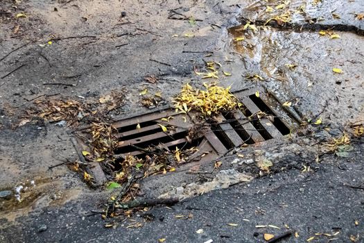 Asphalt hatch with yellow leaves and flowing water close up