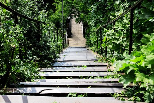 Steep stairs leading down among green trees close up