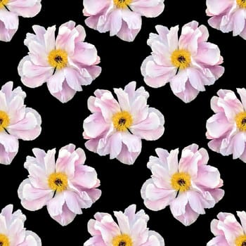 Floral background. Seamless pattern with peony flower isolated on black background